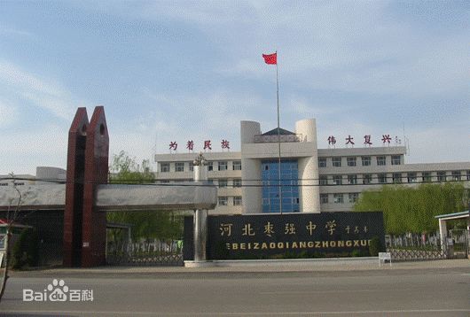 成功案例 成功案例